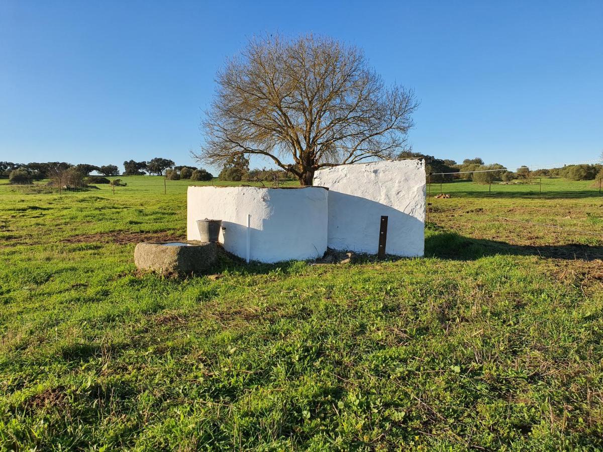 Monte Das Cobras - Country House Évora Esterno foto