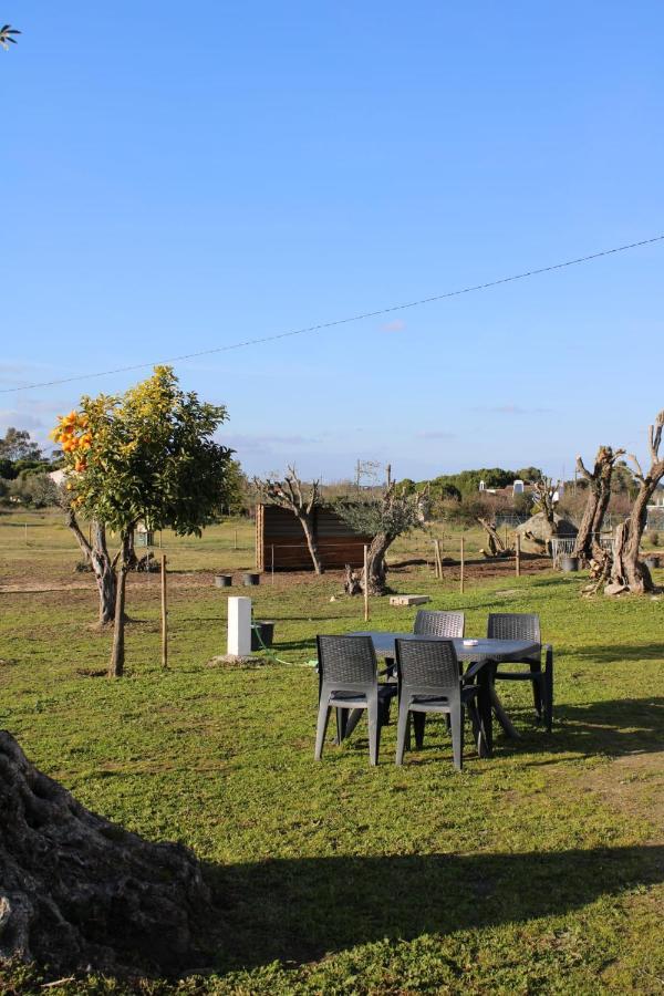 Monte Das Cobras - Country House Évora Esterno foto